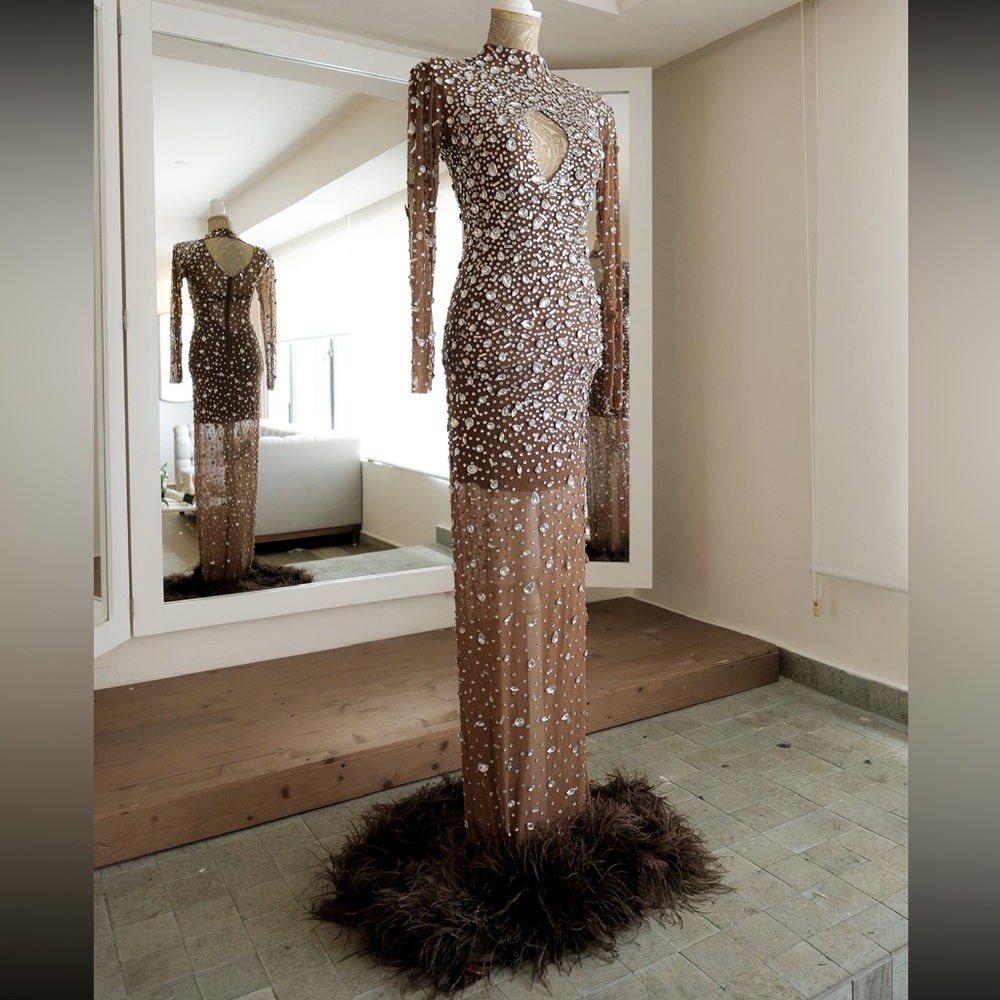 Elegant Sheer Brown Gown with White Embellishments